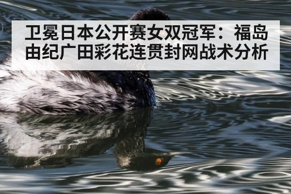 卫冕日本公开赛女双冠军：福岛由纪广田彩花连贯封网战术分析
