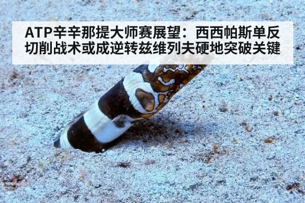ATP辛辛那提大师赛展望:西西帕斯单反切削战术或成逆转兹维列夫硬地突破关键